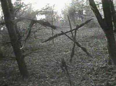 Blair Witch  Creators to Pitch Sequel